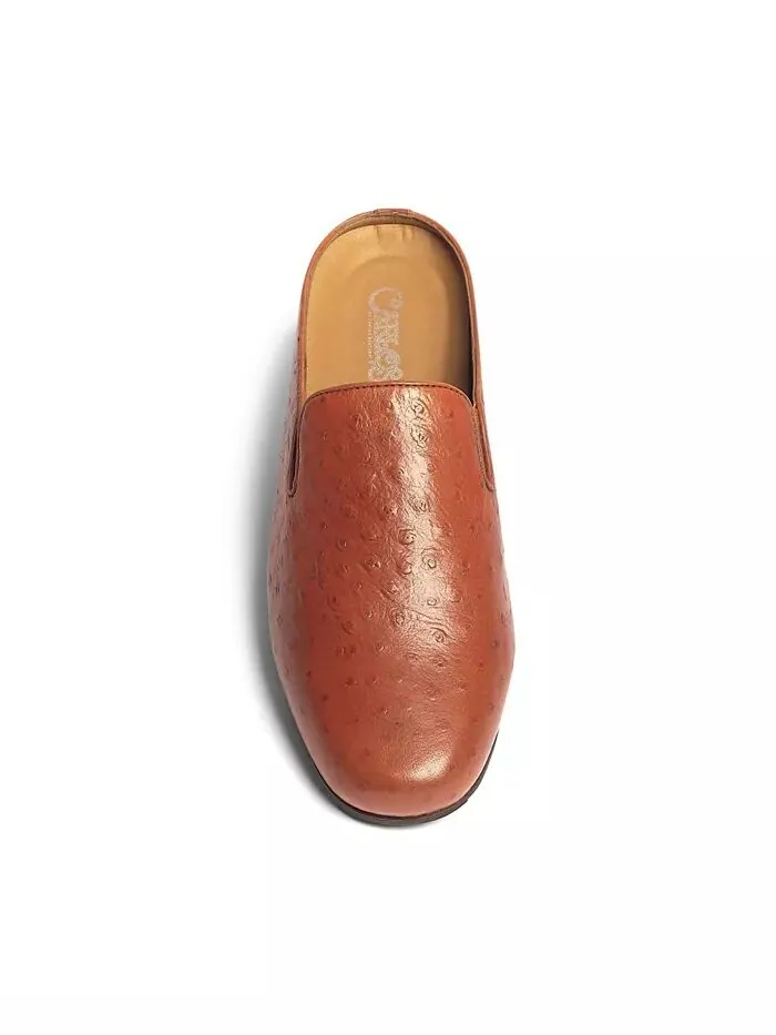 Мужские туфли-лодочки Achilles Mule Slip-On Carlos by Carlos Santana — изображение 4 из 5, бежевый