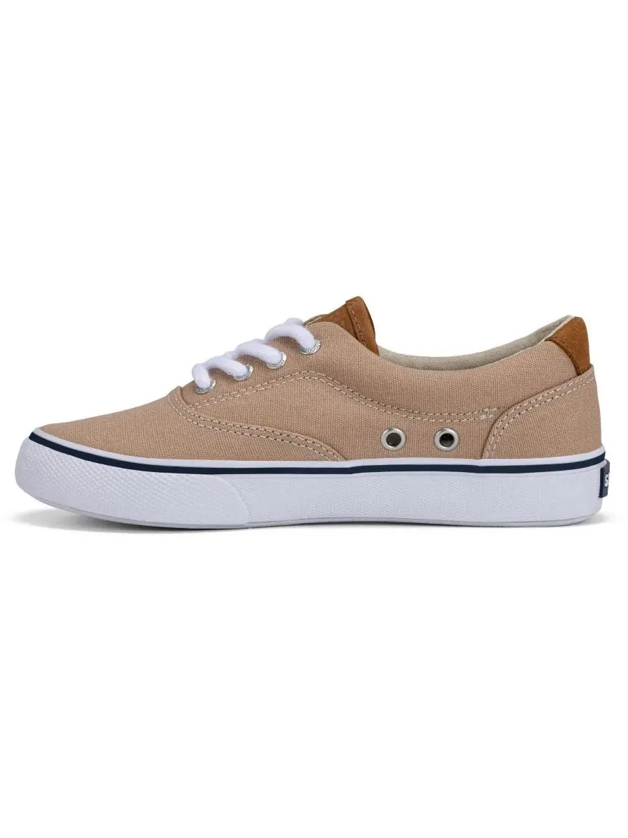 Кеды с хлопковой шнуровкой CVO Striper II Sperry — изображение 3 из 5, кремовый