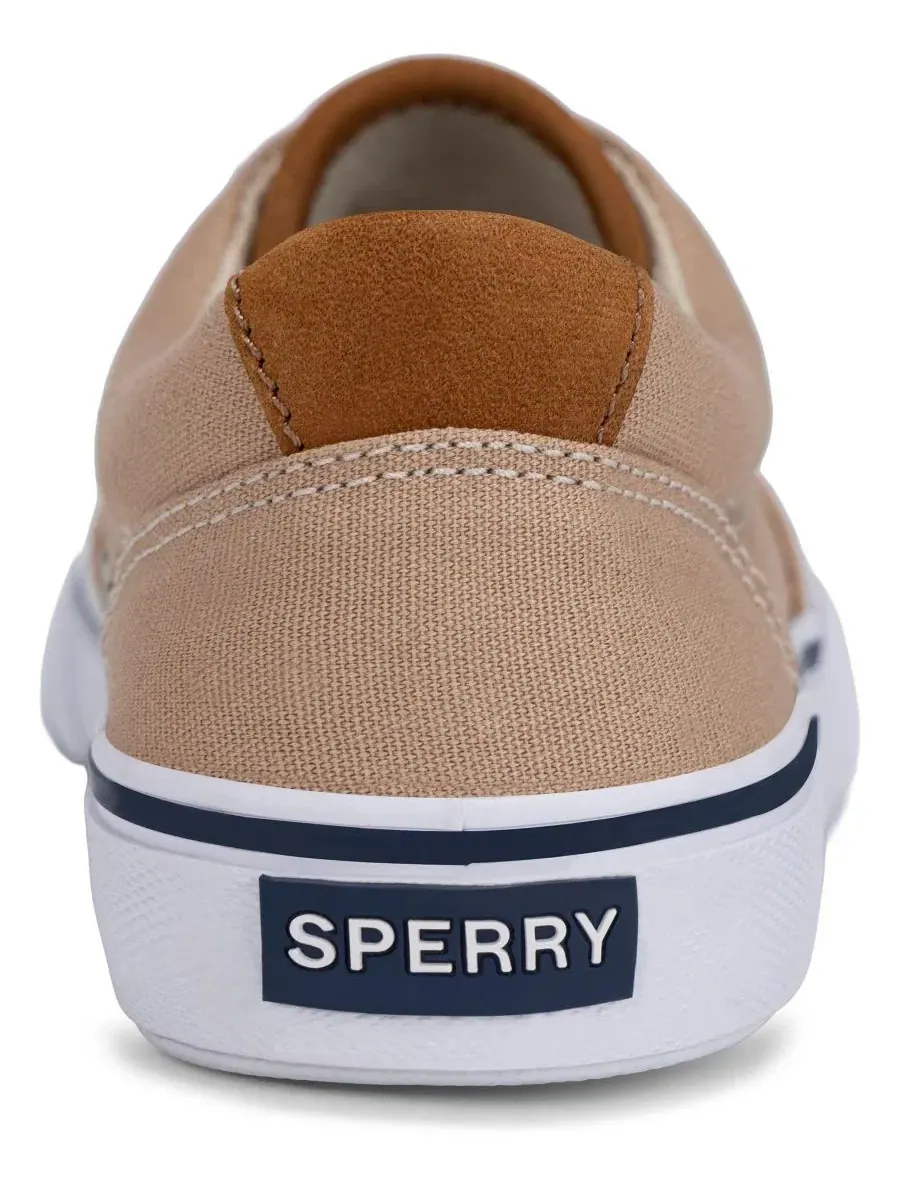 Кеды с хлопковой шнуровкой CVO Striper II Sperry — изображение 5 из 5, кремовый