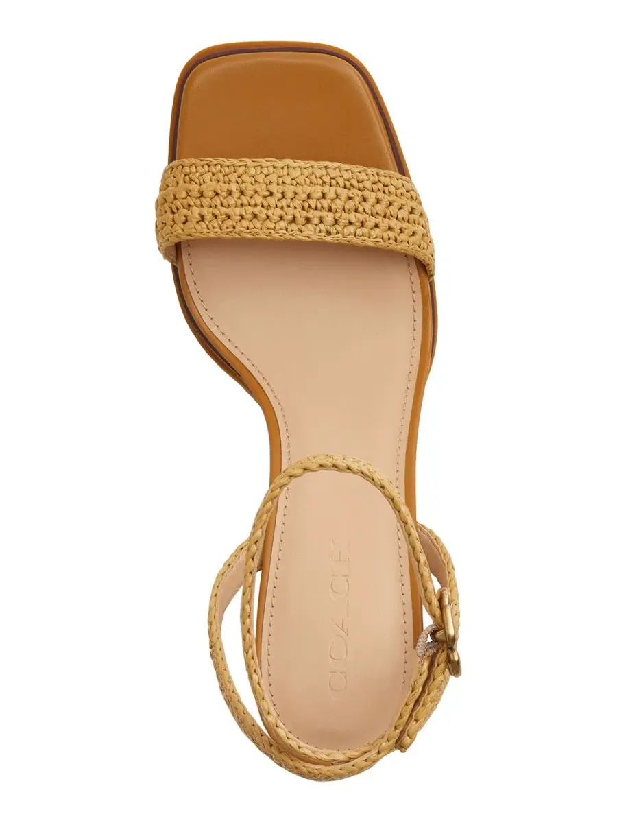 Женские сандалии на платформе с квадратным носком и рисунком «чайная роза» Coach — изображение 4 из 5, прозрачный