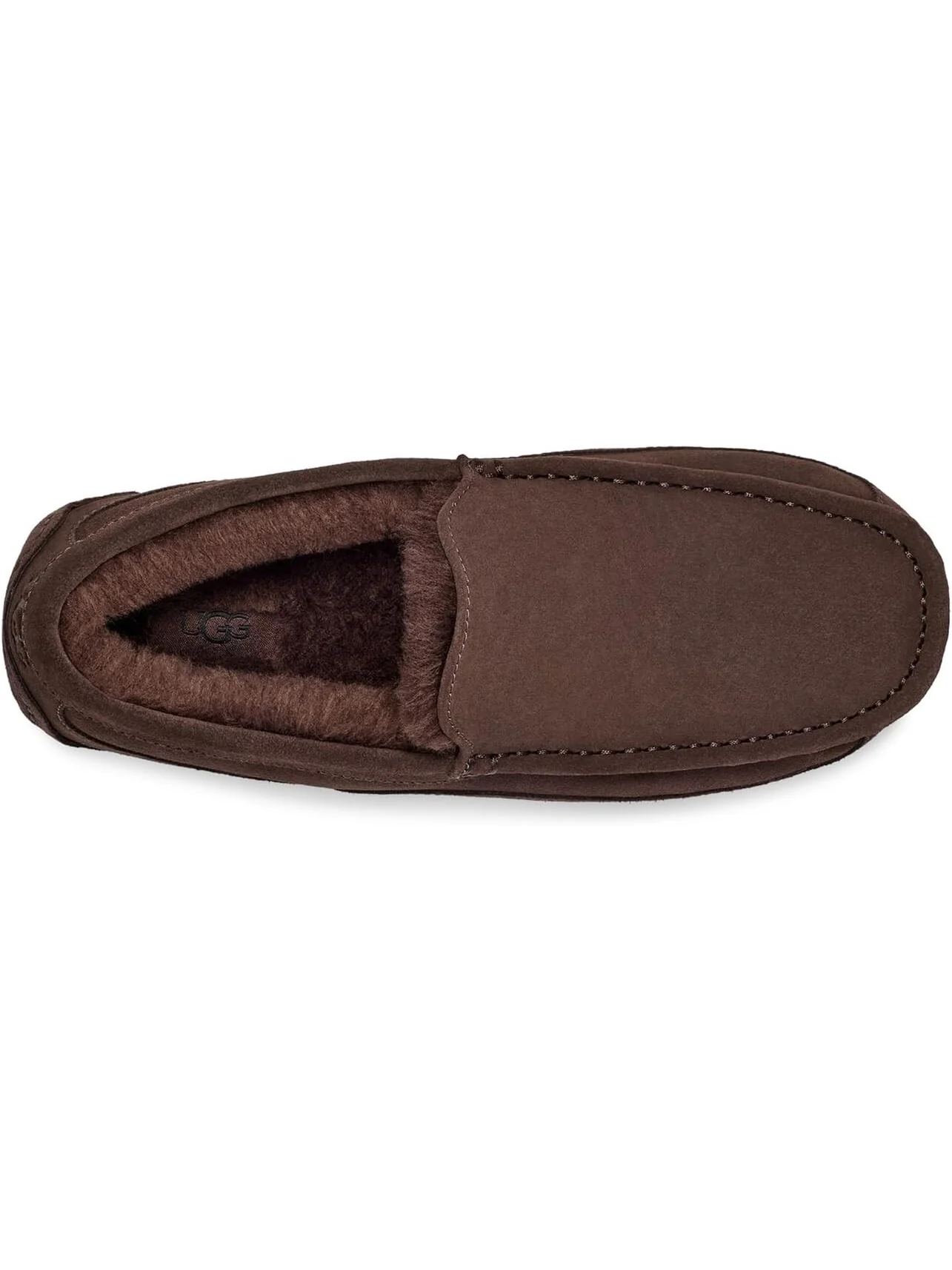 Тапочки Ascot UGG — 2