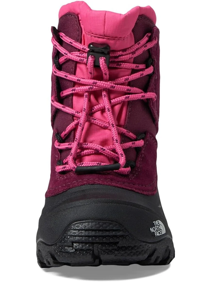 Зимние ботинки Alpenglow V Waterproof The North Face — 2