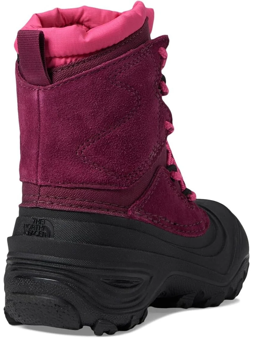 Зимние ботинки Alpenglow V Waterproof The North Face — 5