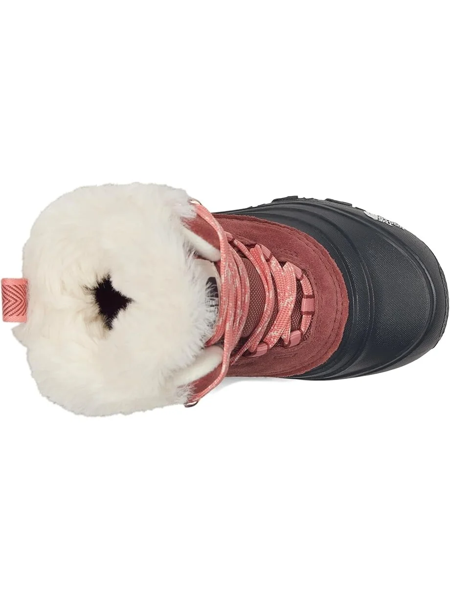 Ботинки The North Face Kids Shellista V Lace Waterproof — 2
