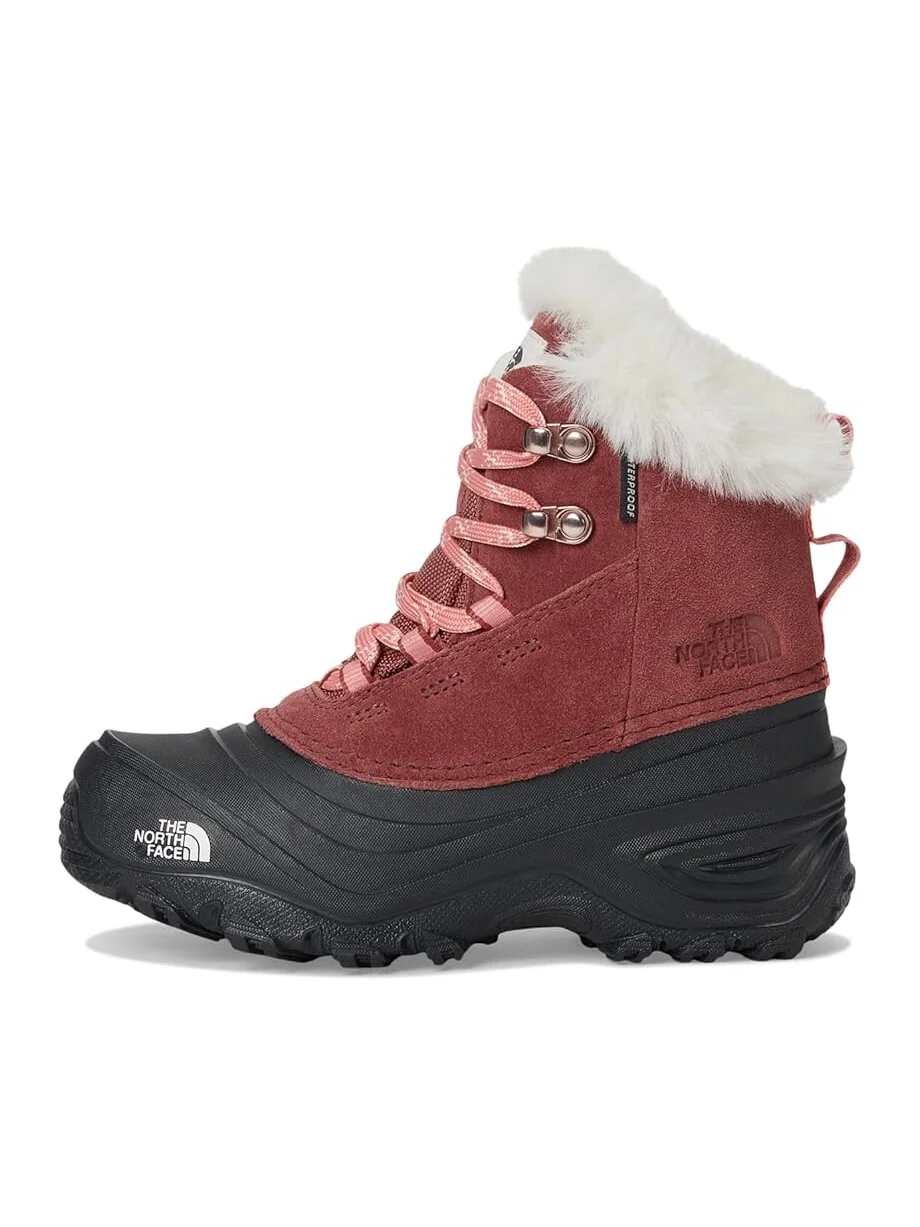 Ботинки The North Face Kids Shellista V Lace Waterproof — 4