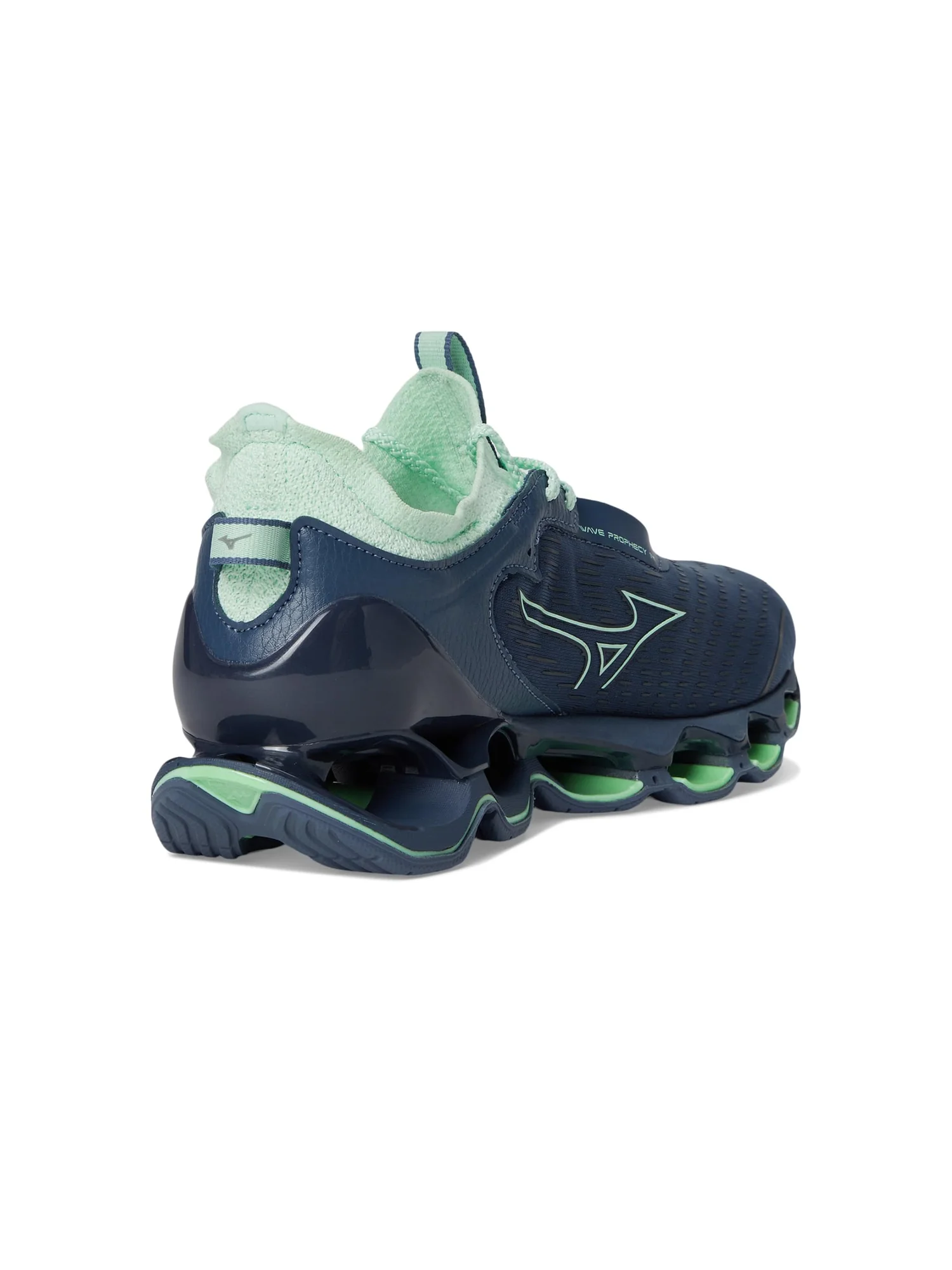 Кроссовки Mizuno Wave Prophecy 14 — 5
