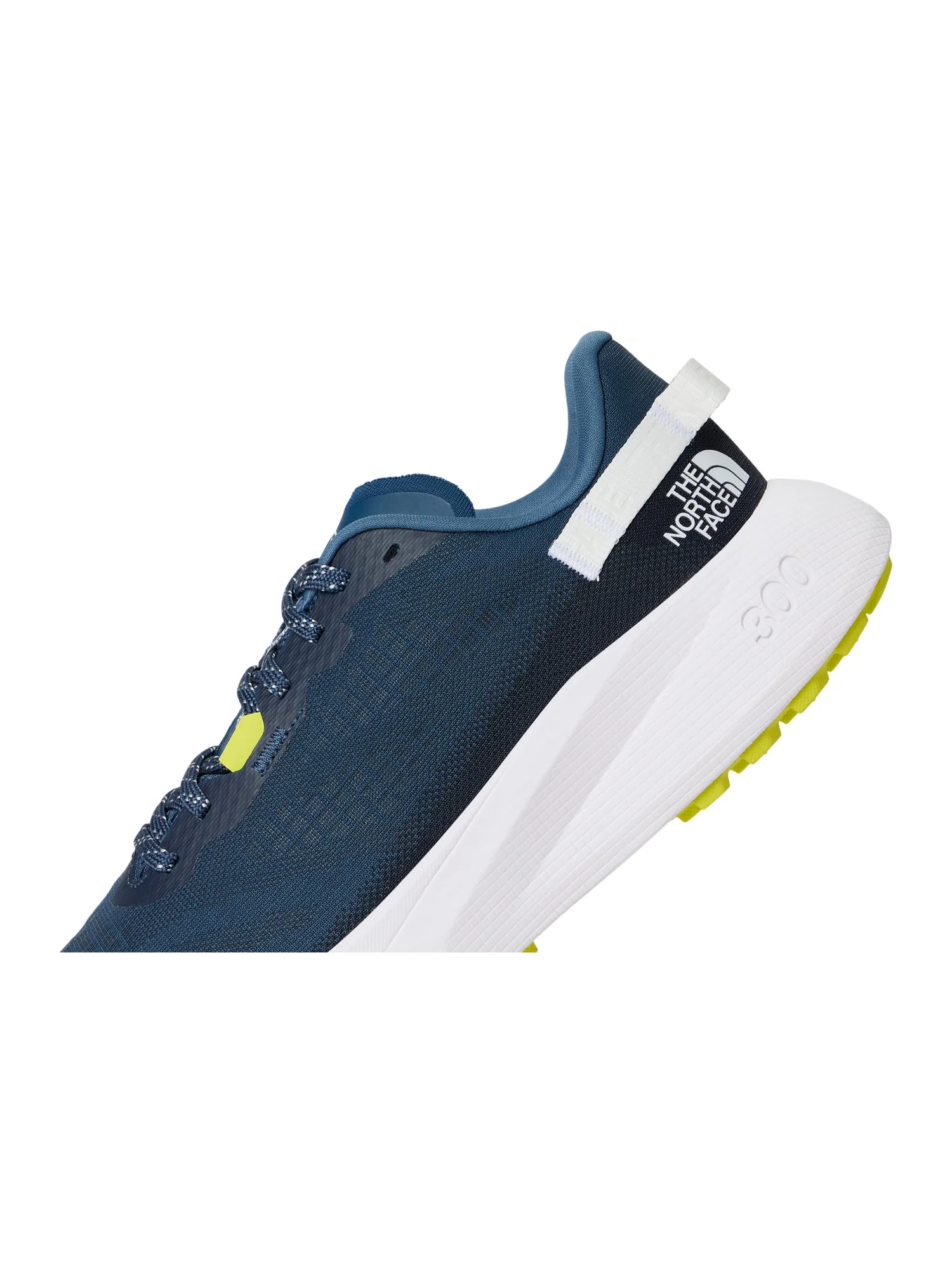 Кроссовки The North Face Altamesa 300 — 6