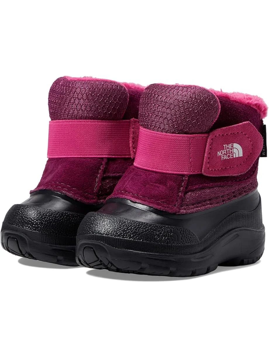 Ботинки The North Face Kids Alpenglow II — 1