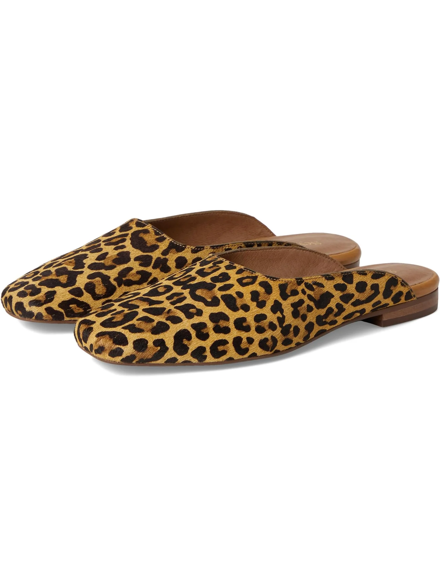 Балетки Seychelles Prim And Proper Mule, цвет Leopard — 1