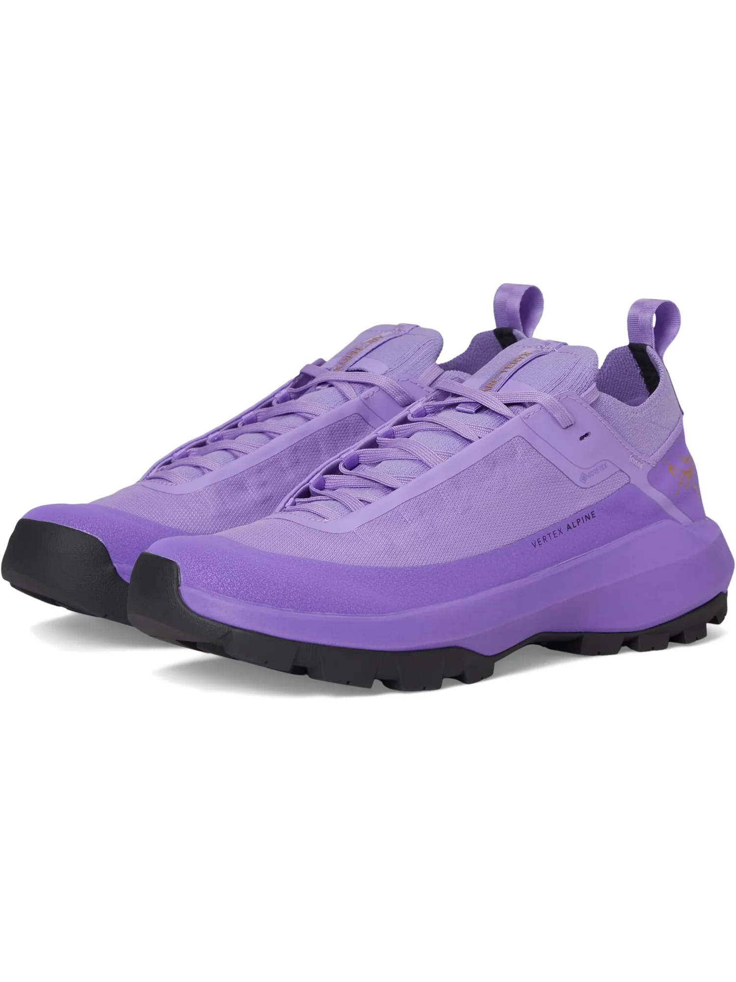 Кроссовки Arc'teryx Women's Vertex Alpine GTX