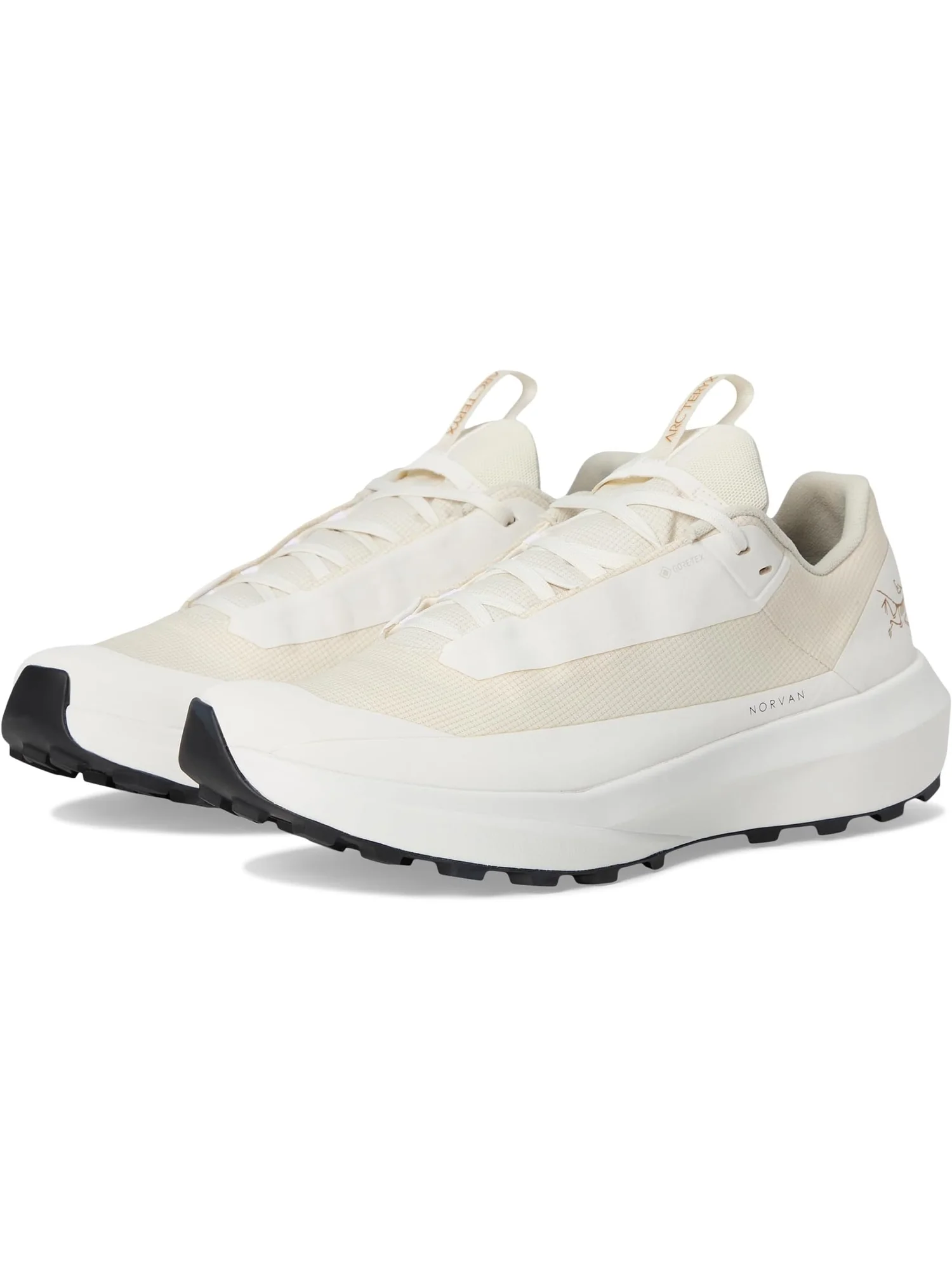 Кроссовки Arc'teryx Women's Norvan LD 4 GTX