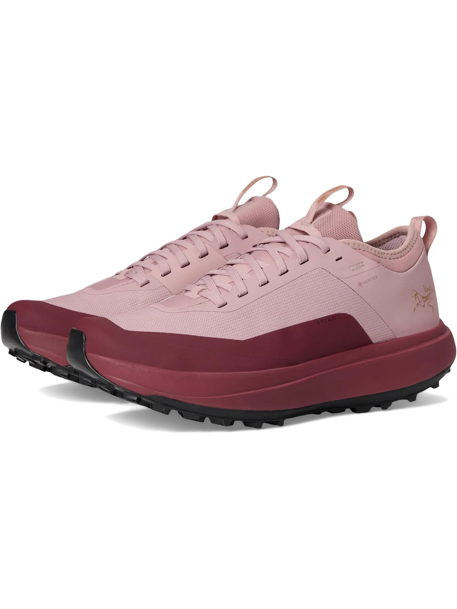 Кроссовки Arc'teryx Women's Sylan GTX, Dark Bliss/Mars