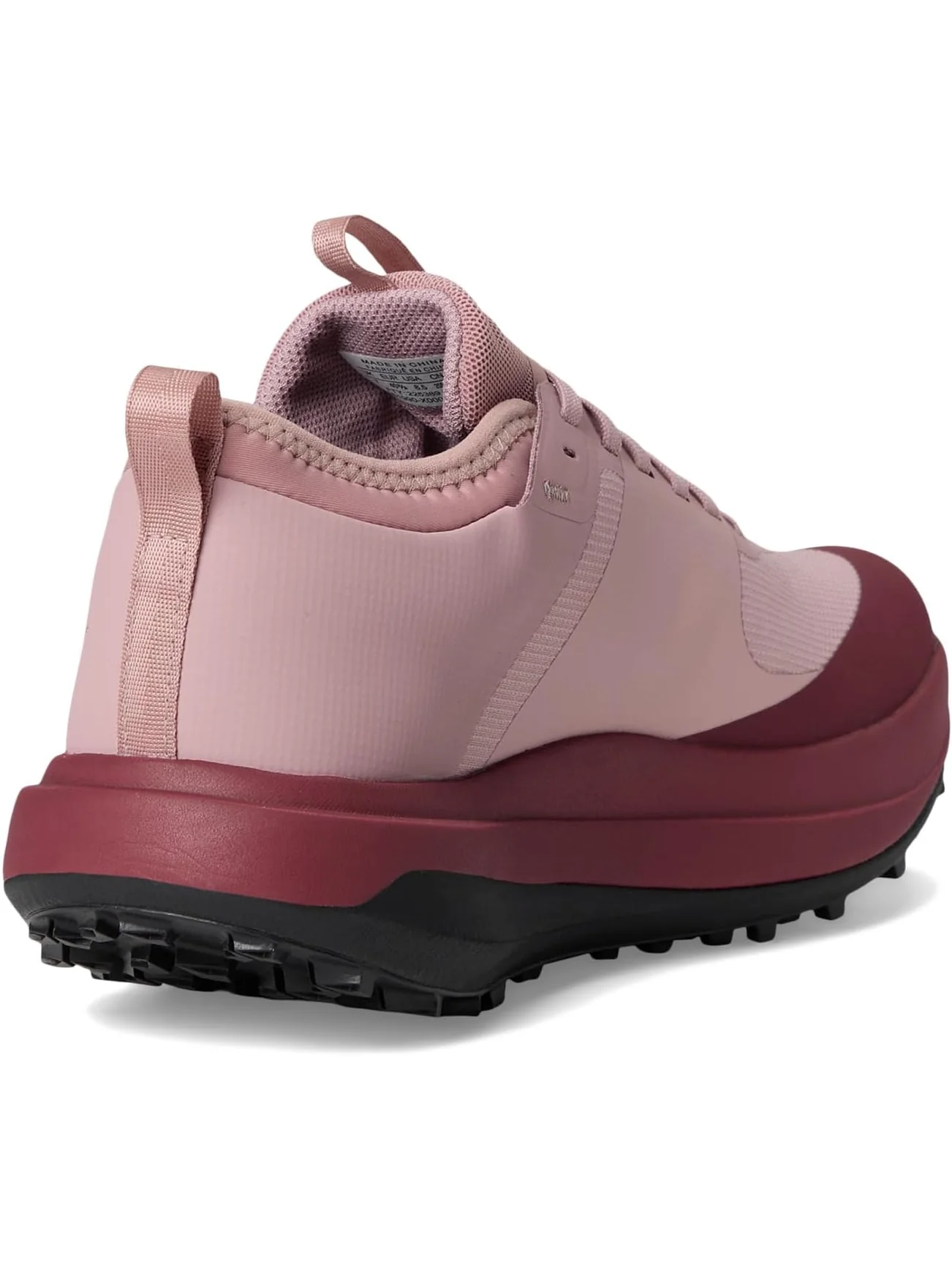 Кроссовки Arc'teryx Women's Sylan GTX, Dark Bliss/Mars — 5