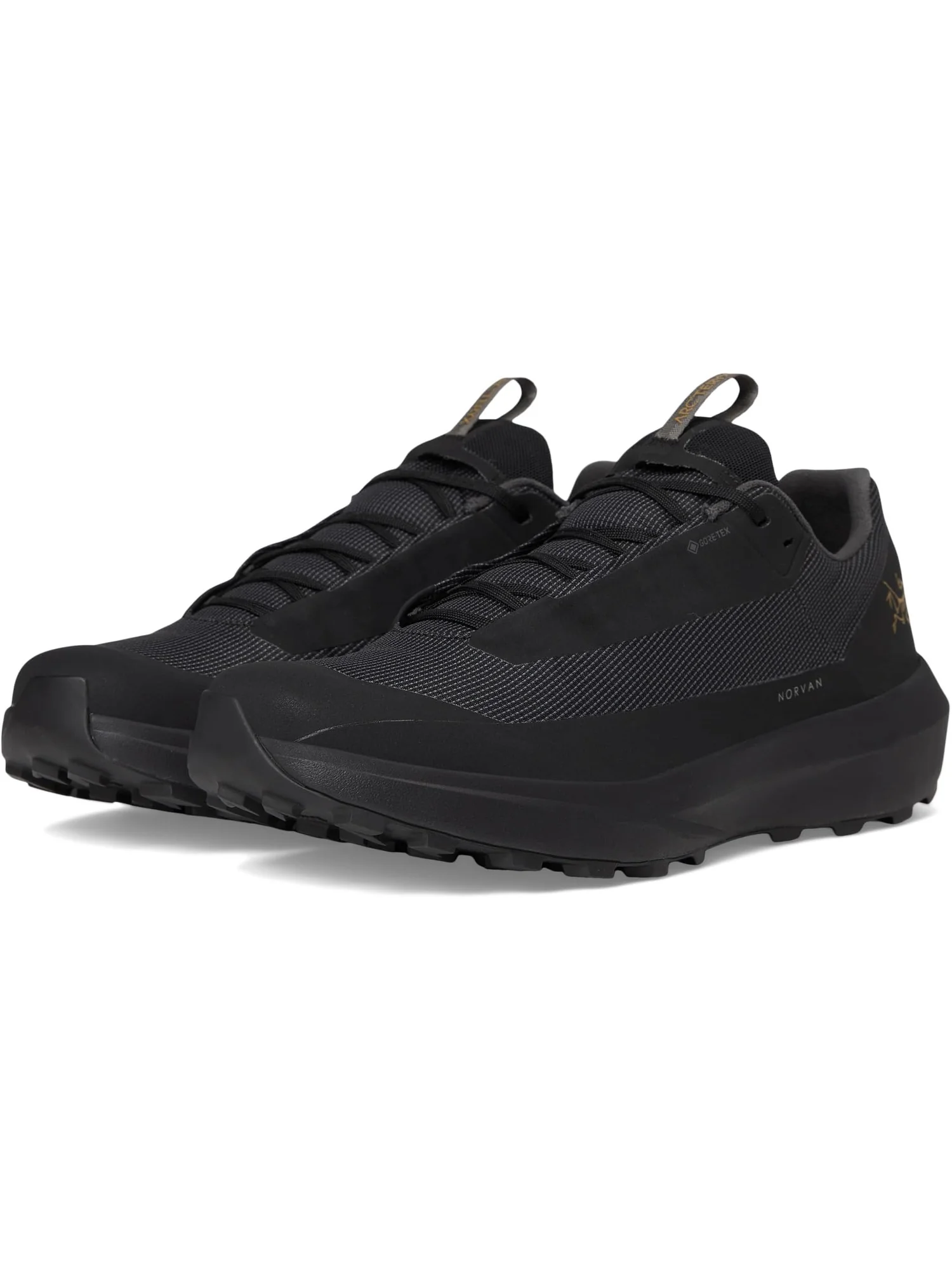 Кроссовки Arc'teryx Unisex Norvan LD 4 GTX