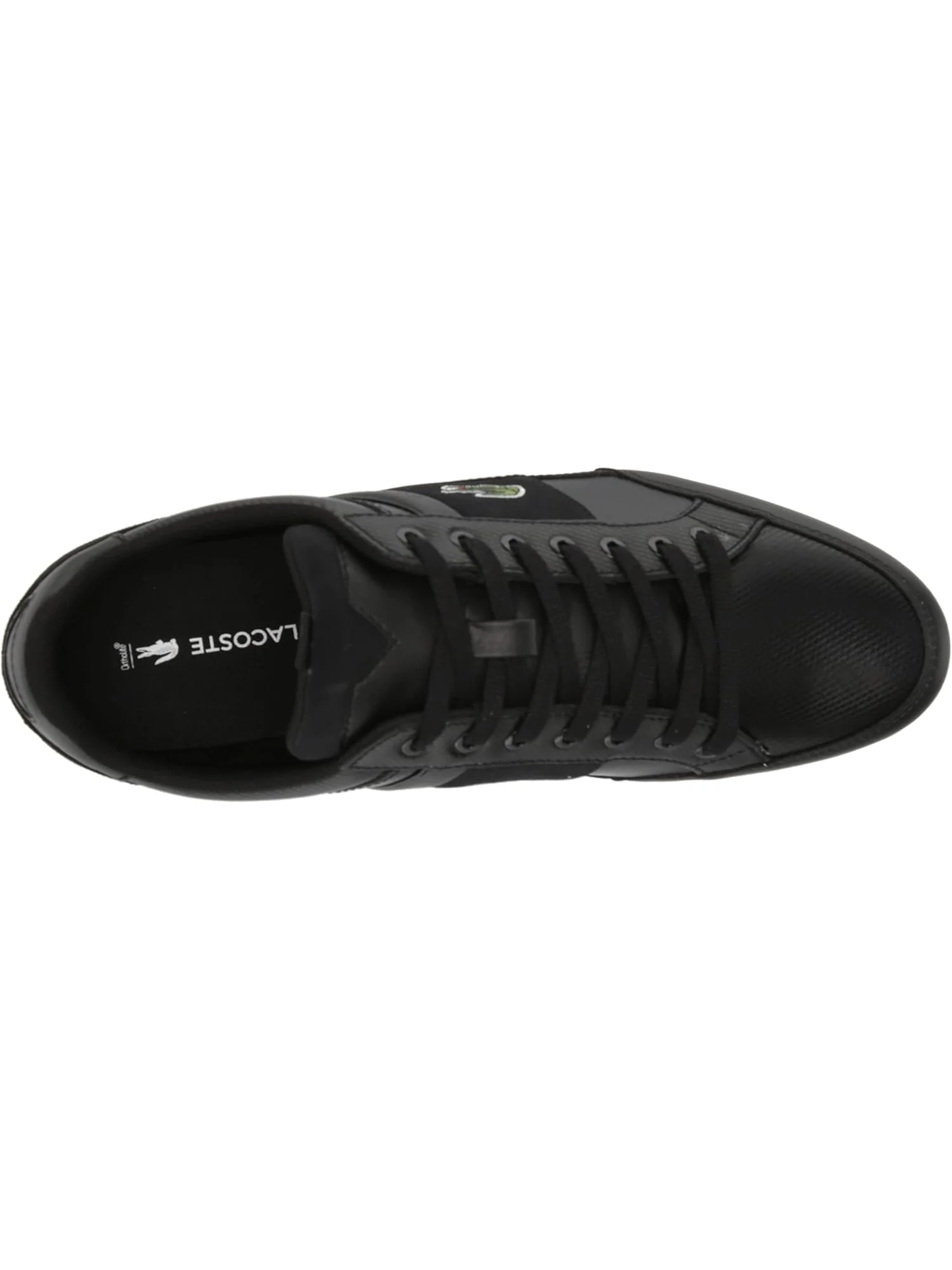Кроссовки мужские Lacoste Chaymon — 5