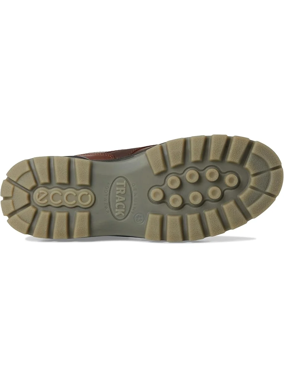 Треккинговые кроссовки ECCO Sport Track 25 Low GORE-TEX Waterproof Hiking Shoe, цвет Bison Full Grain Leather