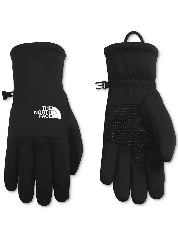 Мужские перчатки Sierra Etip The North Face