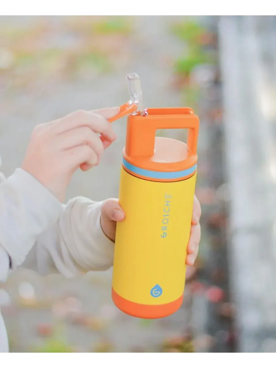 Детская термобутылка Alpine Flip 'N Sip с трубочкой, 2 шт Grosche — изображение 2 из 8, желтый/фиолетовый