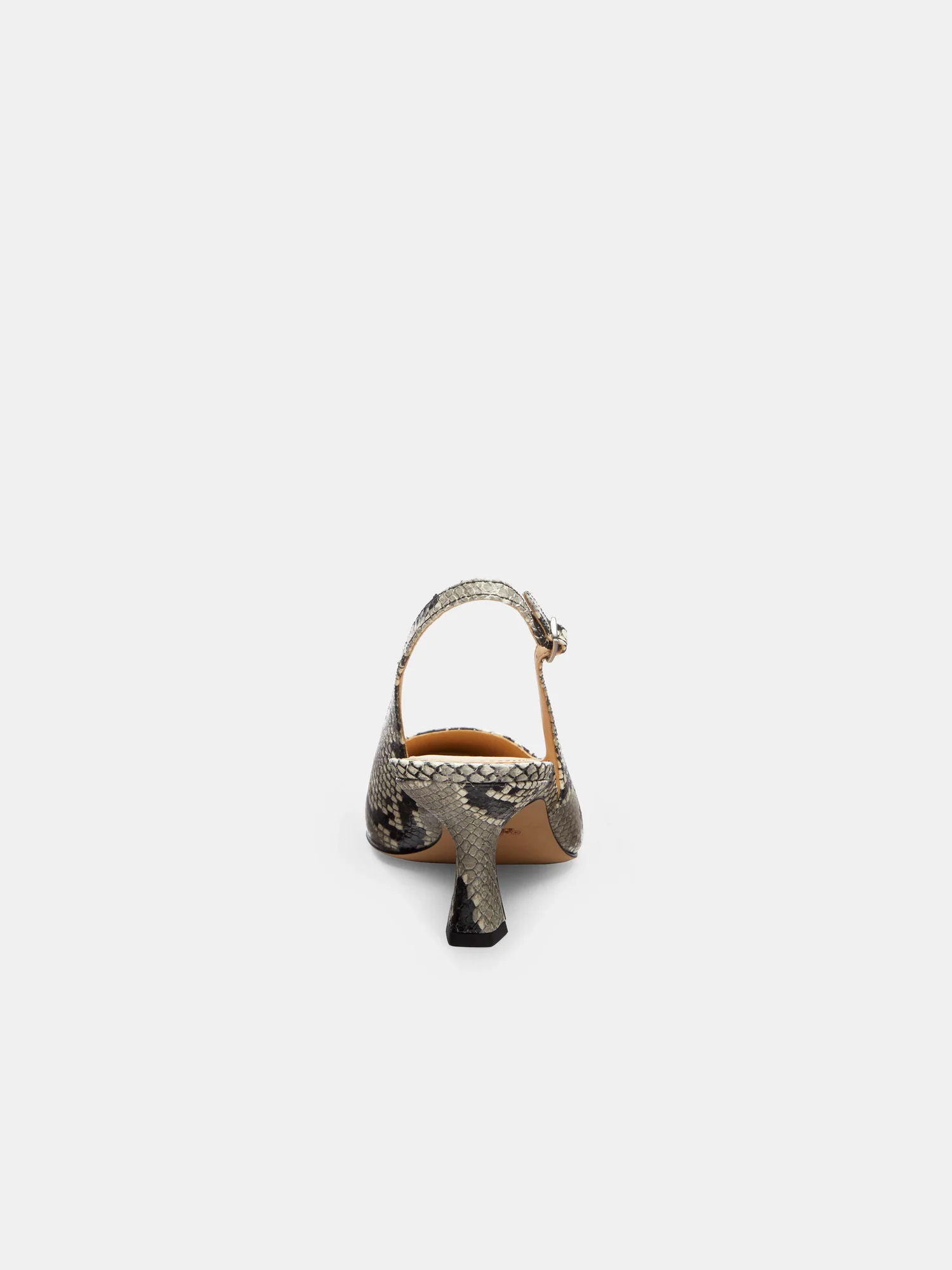 Слингбэки Coach из кожи со змеиным принтом на каблуке — 18