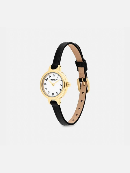 Наручные часы Coach Iris, 22 мм