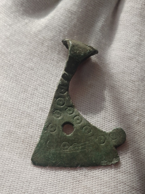 IMG 20260228 123555 739