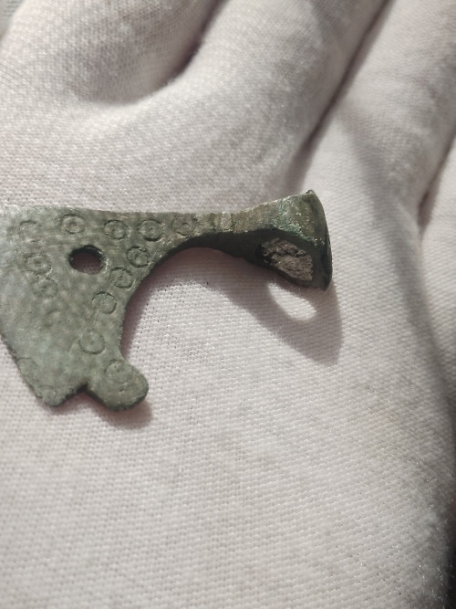 IMG 20260228 123659 523