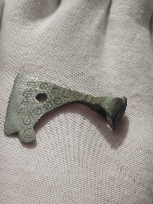 IMG 20260228 123718 315