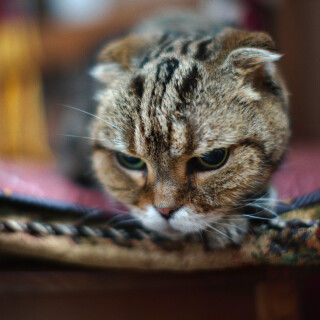 0M1A0238-web1433x2048U20