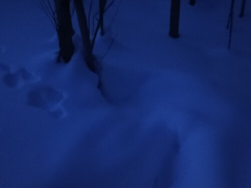 IMG 20260303 201637 992