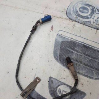 1696328488341_bulletin