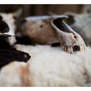 LEICA-CAMERA-AG__157458520-157552680_1211