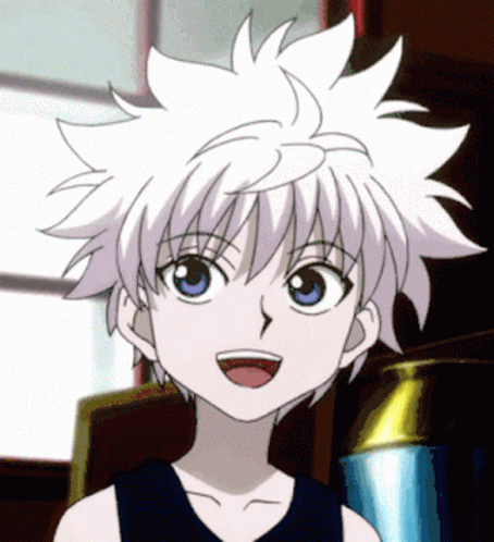 killua-gopackgo.gif