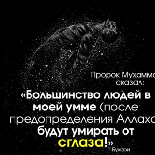 256192-INNERRESIZED600-600-1