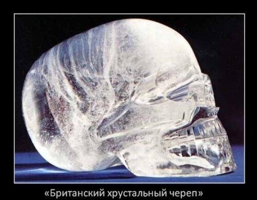 BRITANSKII-KRSTALNY-CEREP-BOLSO-MOZG.jpg