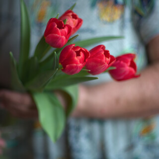 0M1A0329-web2005x3000U20