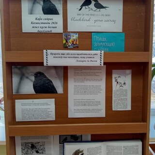 Құстар күніне орай 23 мектеп кітапханасында кітап-иллюстрациялық көрме ұйымдастырылды