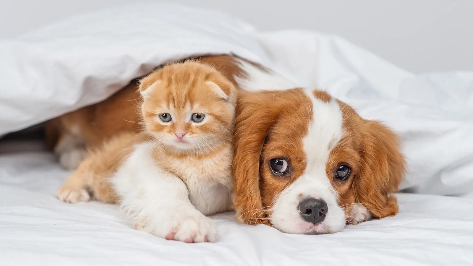 Фото мемориала