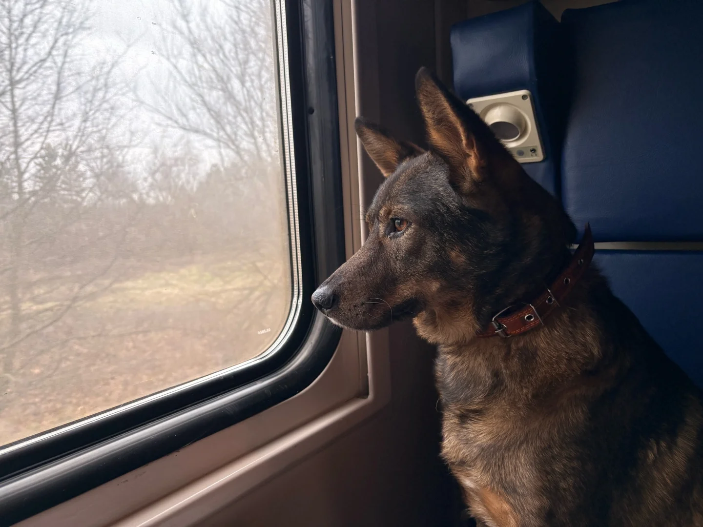 Фото воспоминания