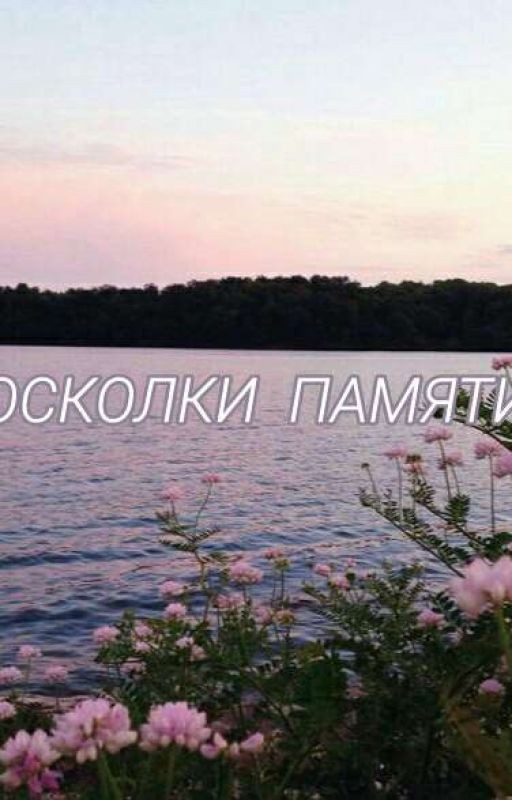 Осколки памяти
