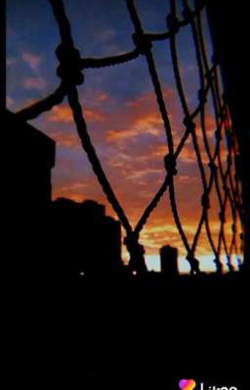 Жизнь в Северной Каролине