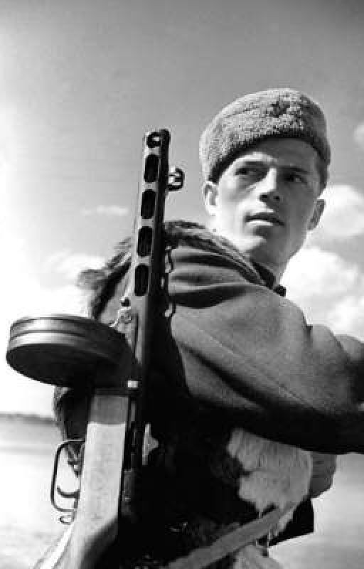 дневник Ивана Рянина или Битва за жизнь