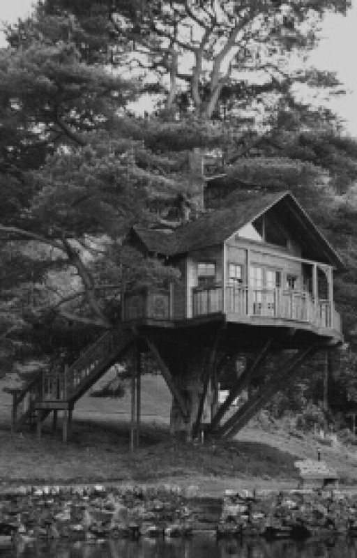 Игра судьбы. Новая жизнь