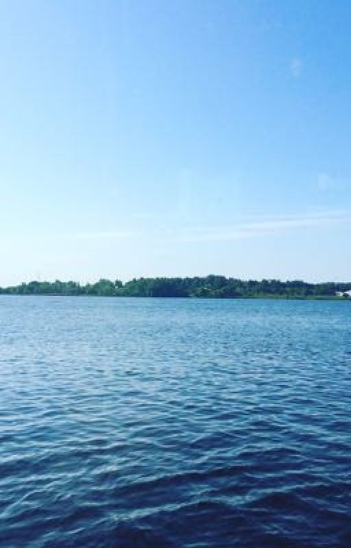 Легкая жизнь