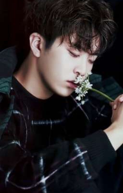 Следующая жизнь будет лучше