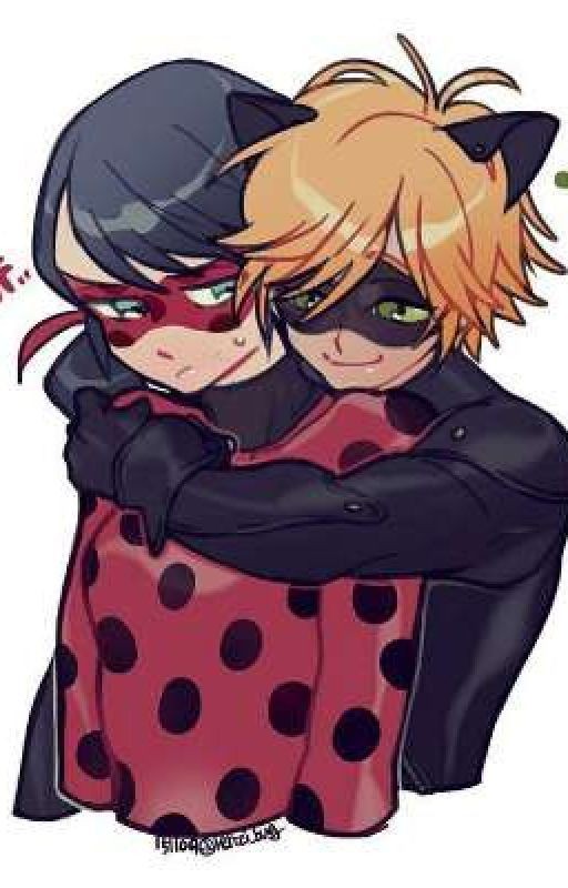 Леди Баг и Супер Кот. Новый герой