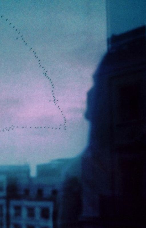 Я всегда тебя буду любить