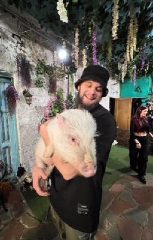 je ne t'oublierai pas //Данила Горилла