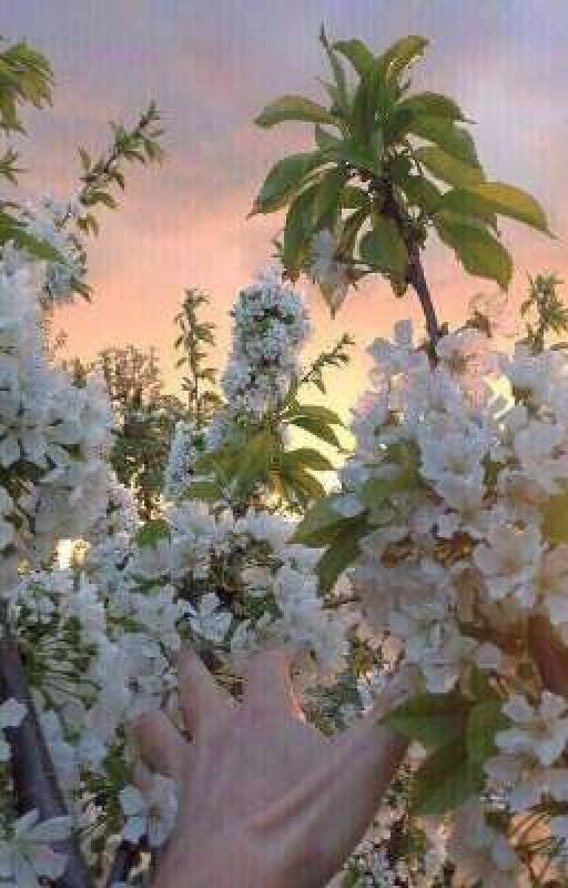 Истории про любовь .18+