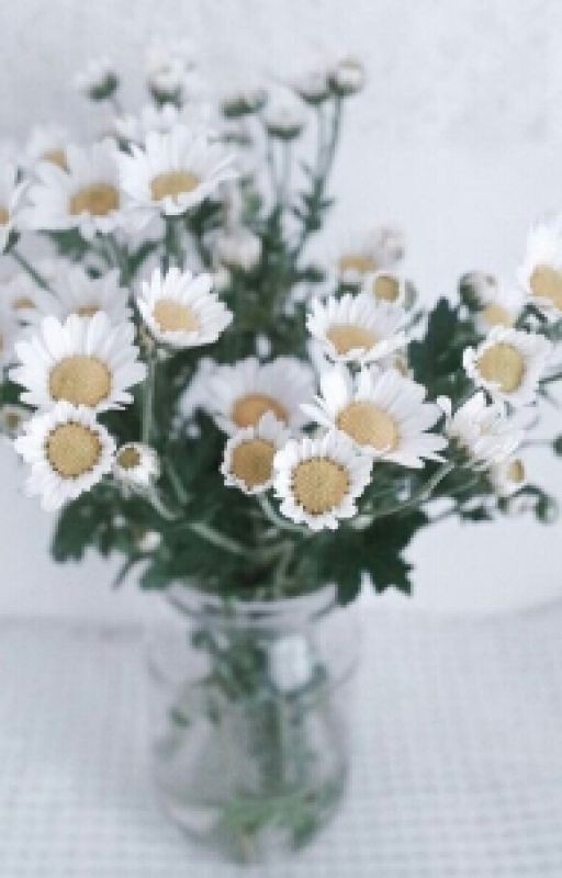 Непонятная История