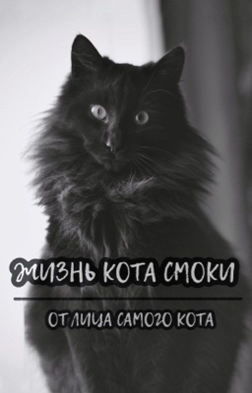 Жизнь кота Смоки